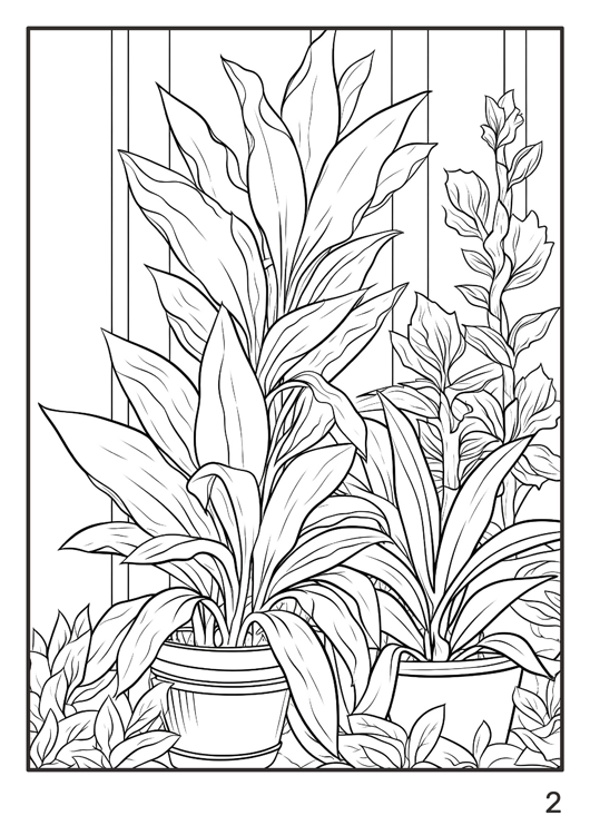 Olympia anti-stress coloring artbook "Flowers and other plants"