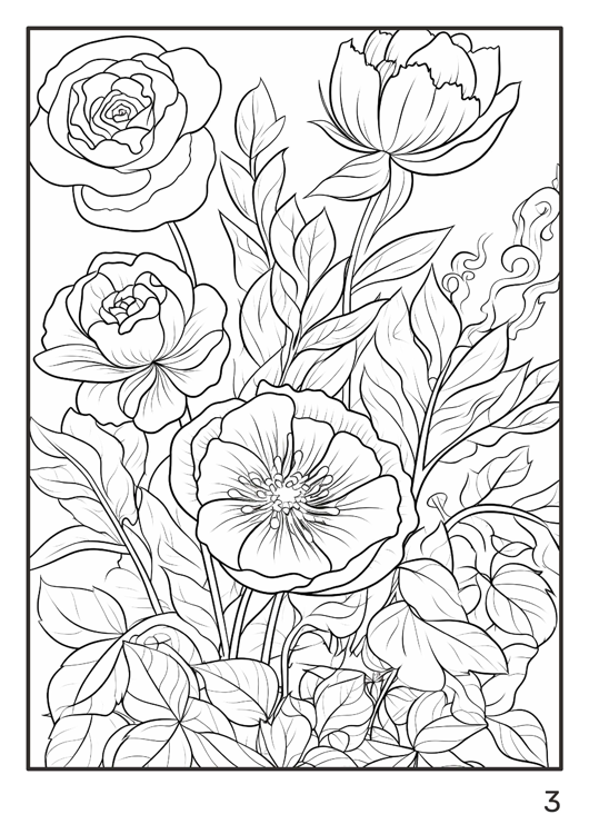 Olympia anti-stress coloring artbook "Flowers and other plants"