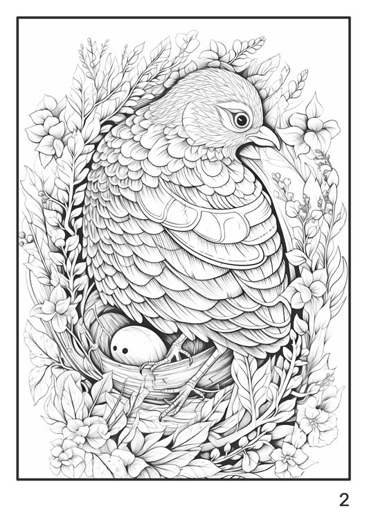 Olympia anti-stress coloring artbook "Birds"