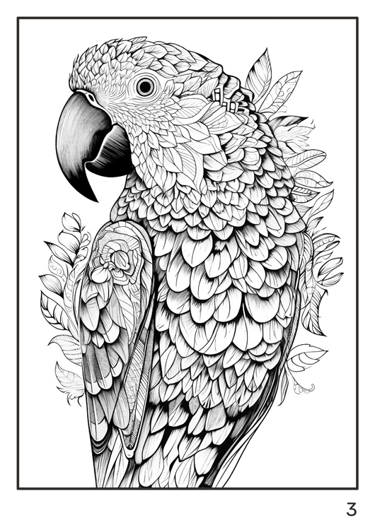 Olympia anti-stress coloring artbook "Birds"