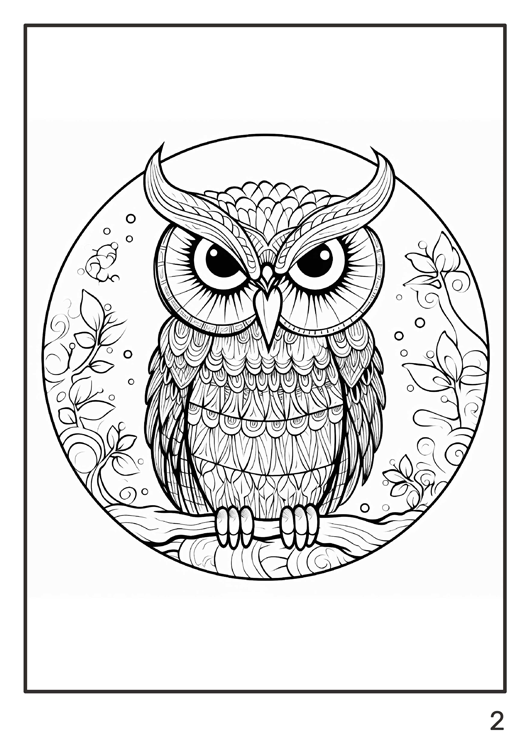 Olympia anti-stress coloring artbook "Owls"