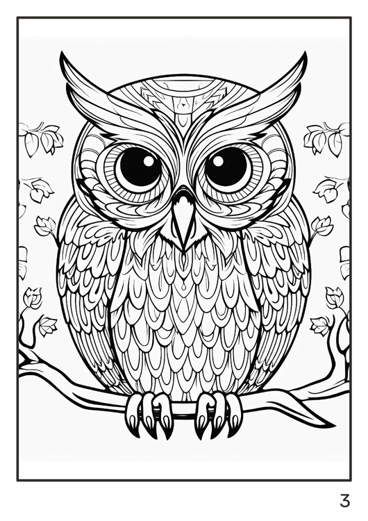 Olympia anti-stress coloring artbook "Owls"