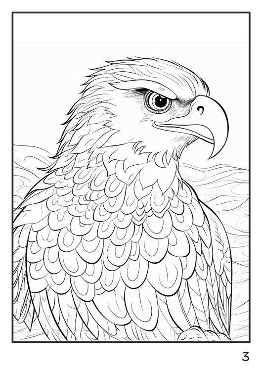 Coloring Artbook Predatory Animals and Birds